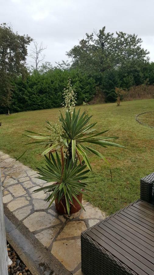 La Belle Chaumiere Bed & Breakfast Bretagne-de-Marsan Екстериор снимка