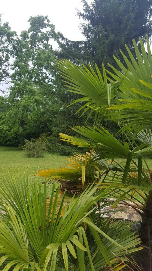 La Belle Chaumiere Bed & Breakfast Bretagne-de-Marsan Екстериор снимка